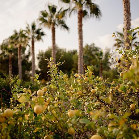 トタナ La Casa Zamora Bed & Breakfast エクステリア 写真